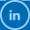 icn-linkedin