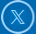 icn-twitter